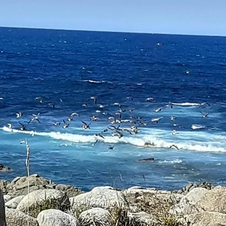 Estudio En Baiona- Playa Santa Marta Appartamento Baiona