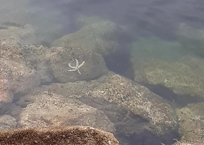 Estudio En Baiona- Playa Santa Marta Байона